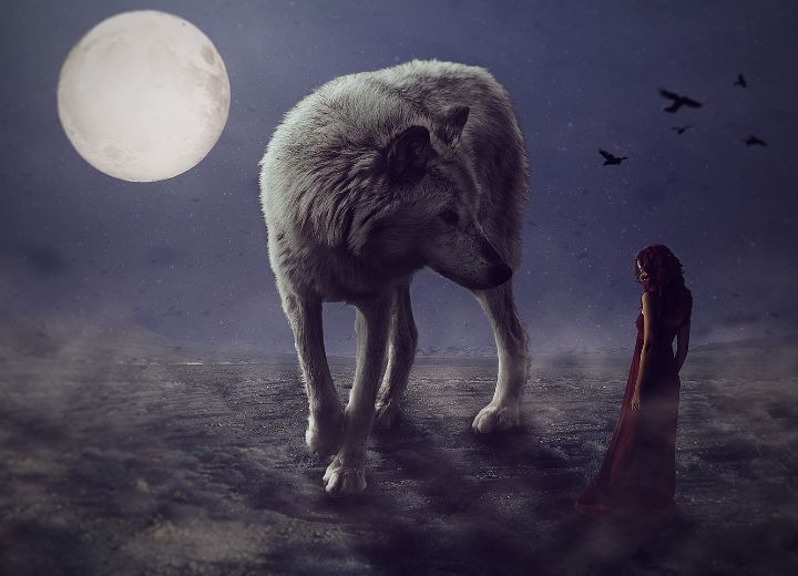 Most Popular Songs About Werewolves of All Time